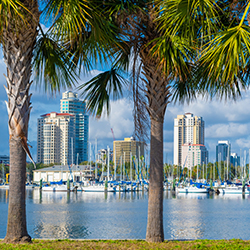 Tampa